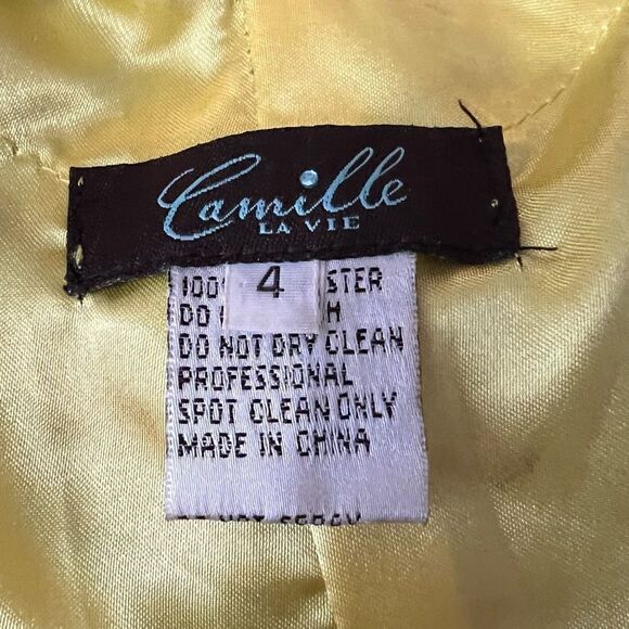 Camille La Vie Multicolor Plunge Neckline Cocktail Prom Long Train Dress Sz 4 - Picture 16 of 16